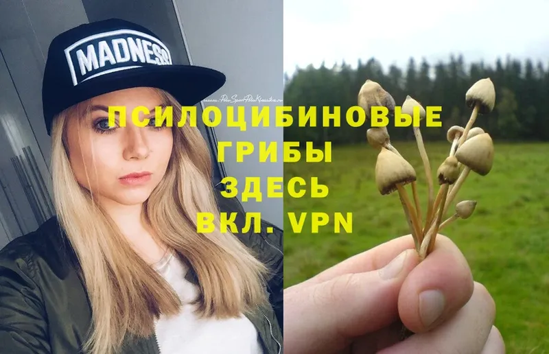 Галлюциногенные грибы Magic Shrooms  наркошоп  Северск 